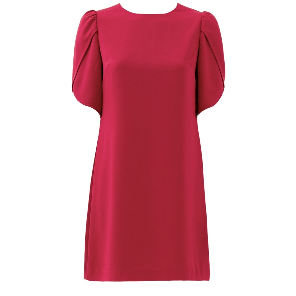 Cynthia Steffe Sunday Tulip Sleeve Dress